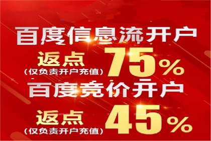 百度竞价排名：从零到一的推广策略与实践
